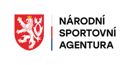 Logo NSA.png